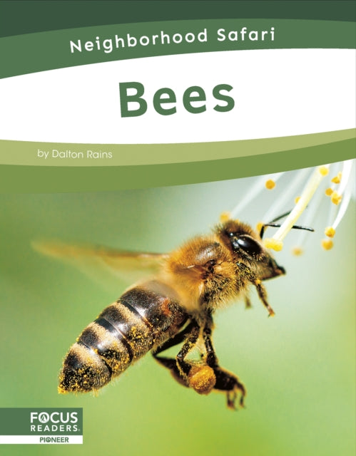Bees-9798889981725