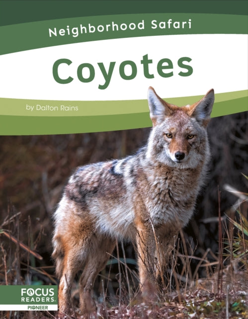 Coyotes-9798889981732