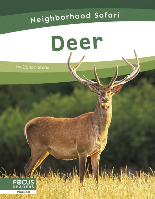 Deer-9798889981749