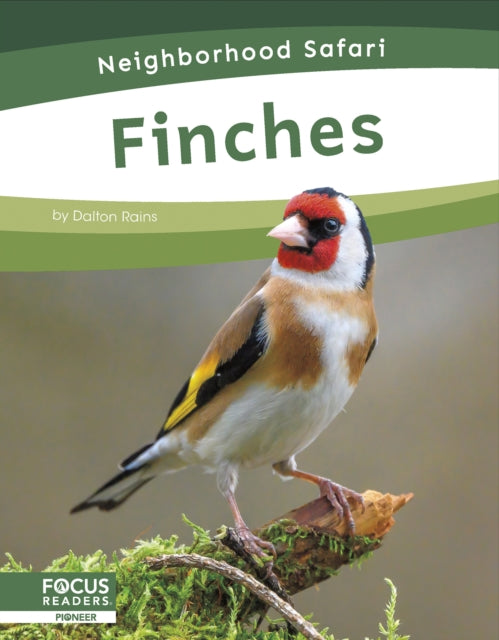 Finches-9798889981756