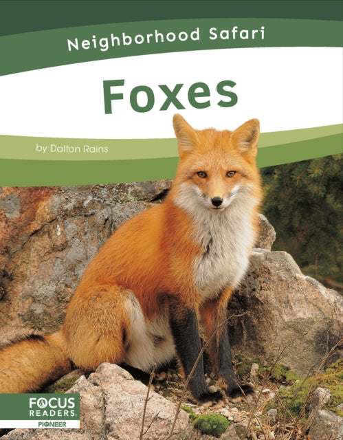 Foxes-9798889981763