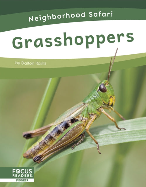 Grasshoppers-9798889981770