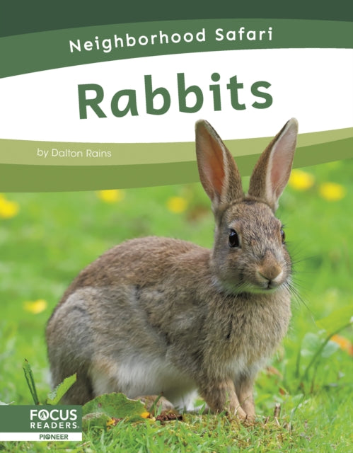 Rabbits-9798889981787