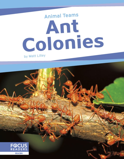 Ant Colonies-9798889982449