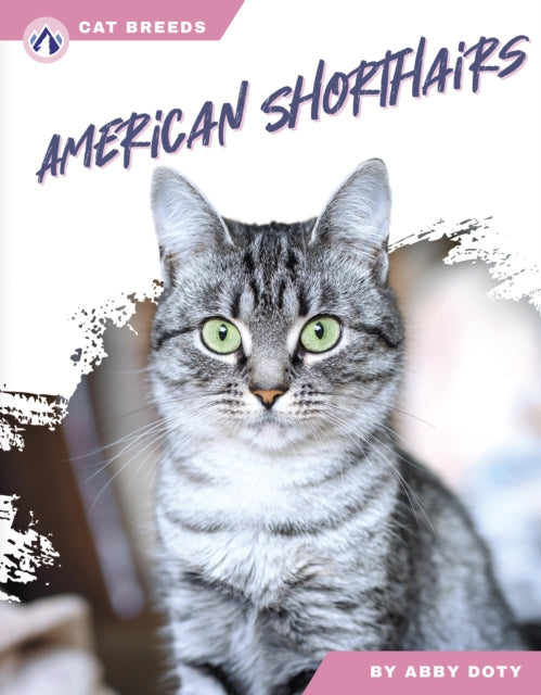 American Shorthairs-9798892503440